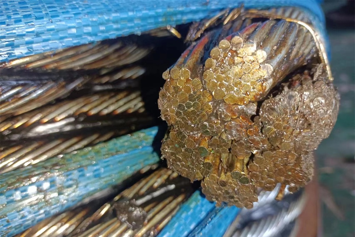 Die IWRC-Struktur des Stahldrahtseils – Teil 2